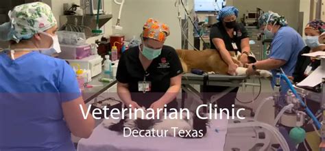 veterinarian decatur tx.